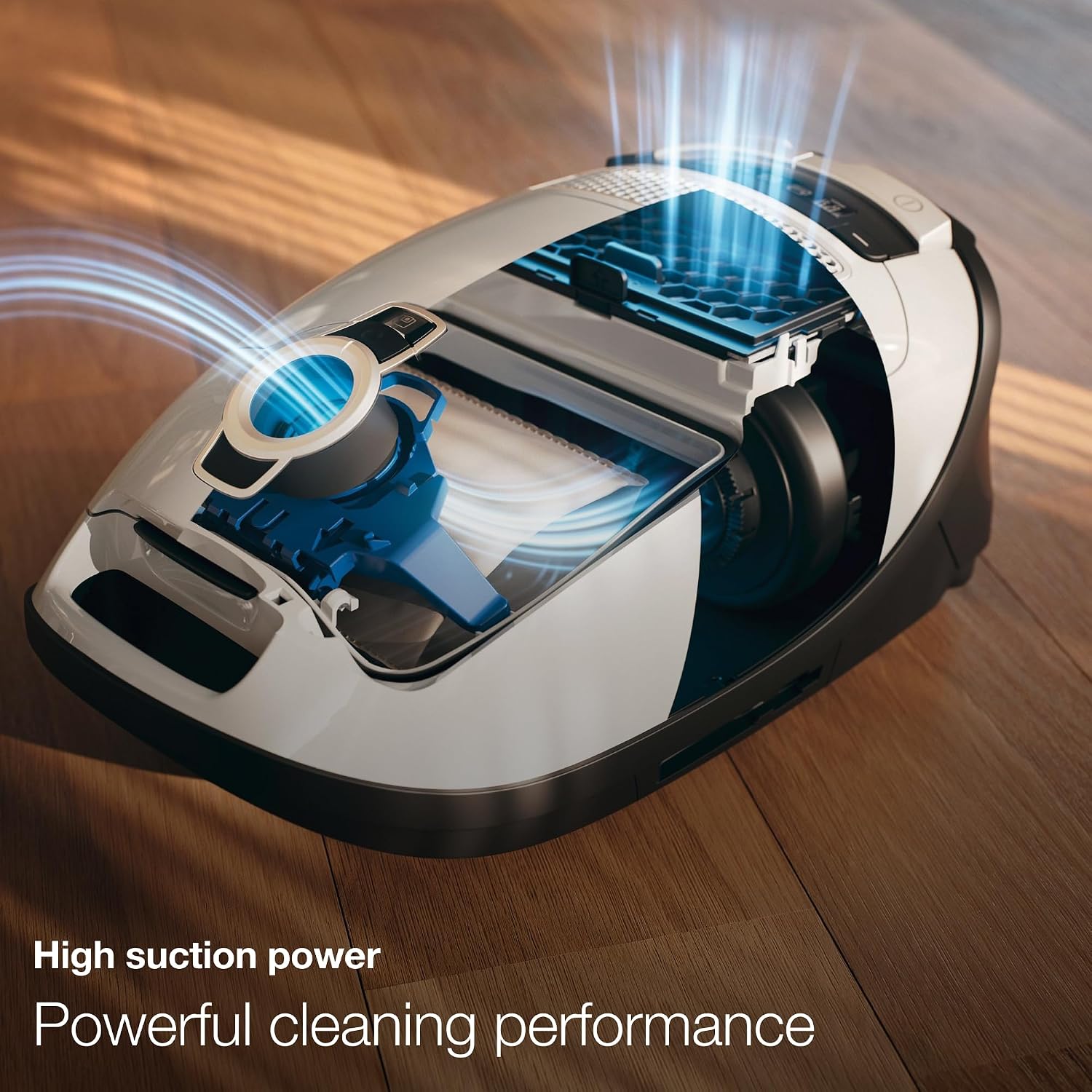 Canister Vacuums from $58 to $583: Honest Trade-Offs at Every Price Tier